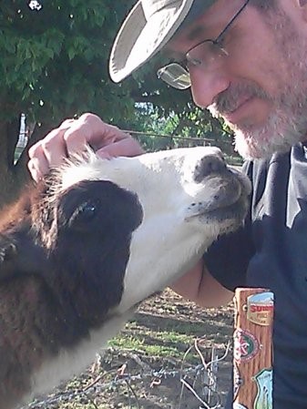 Comfort from Memories of Hiking&nbsp;Past