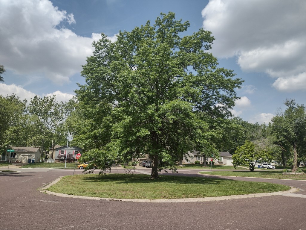 5 Miles To School, 5 Miles Back; All Uphill
