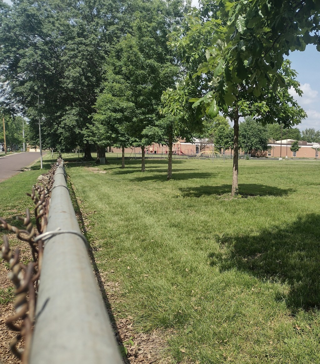 Grade A Adventures in Grade School