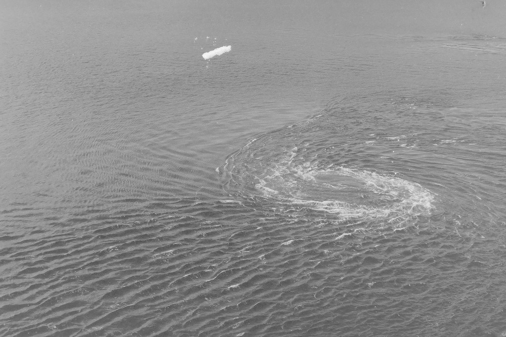 Paddling through the years